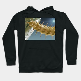 Alien Scary Sci Fi Creature Monster Scifi Hoodie